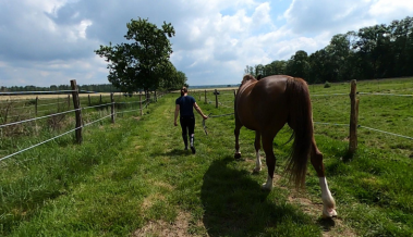 Chemin des pré des Écuries de la Blandinerie