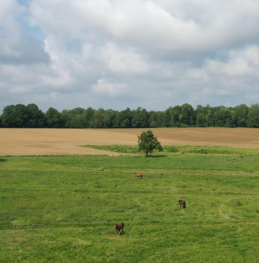 Pré de l'écurie de propriétaire