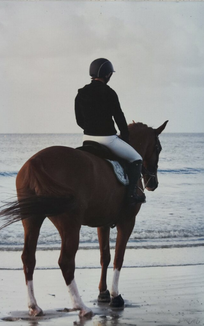 Cheval sur la plage