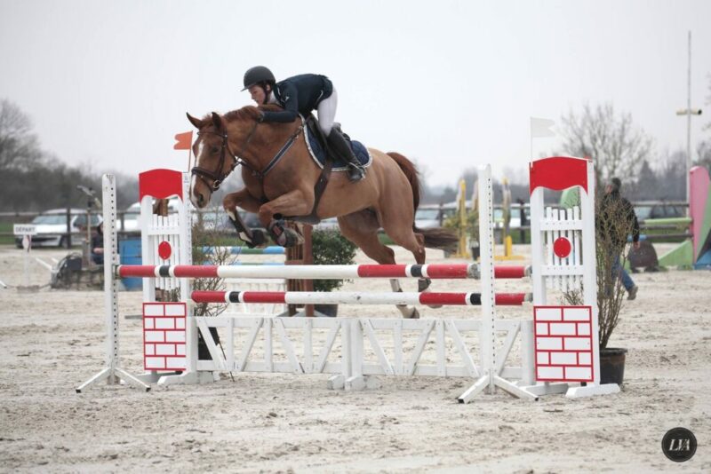 Pension pour chevaux aux écuries de la Blandinerie écurie de propriétaire